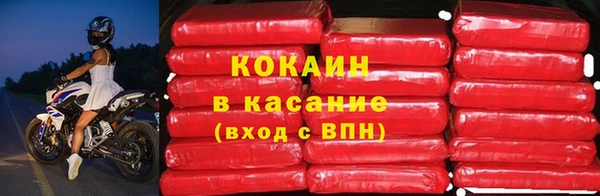 шишки Богданович