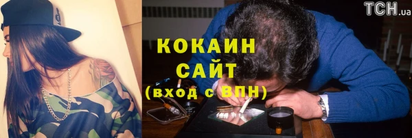 шишки Богданович