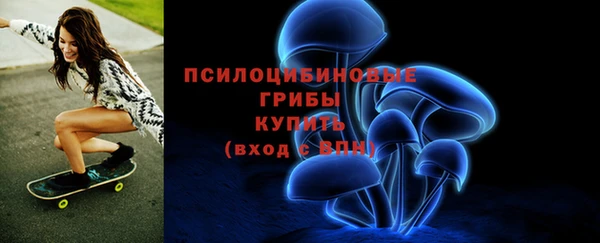 ешки Бронницы