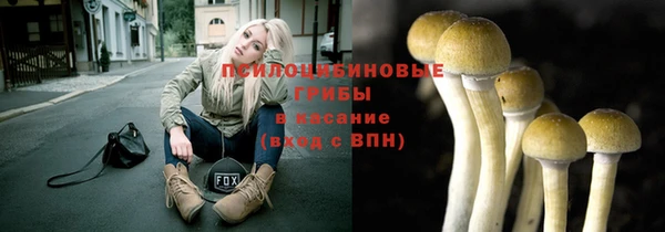 СК Богородицк