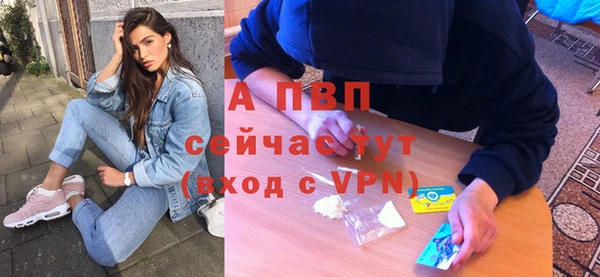шишки Богданович