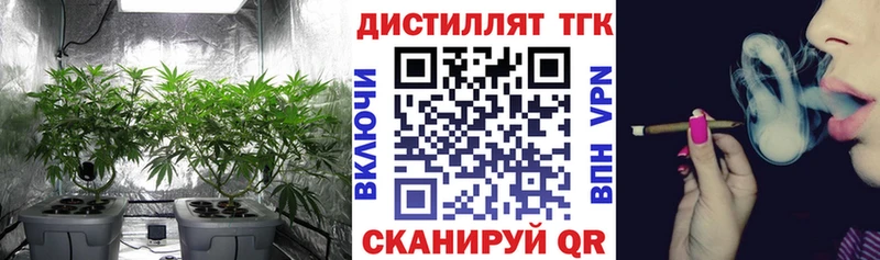 KRAKEN   Медногорск  ТГК вейп  где купить  